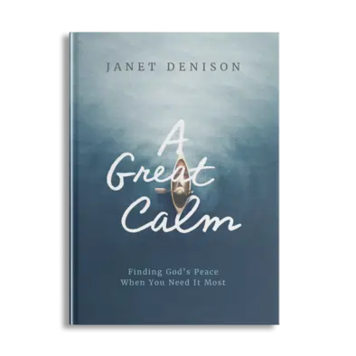 A Great Calm book cover
